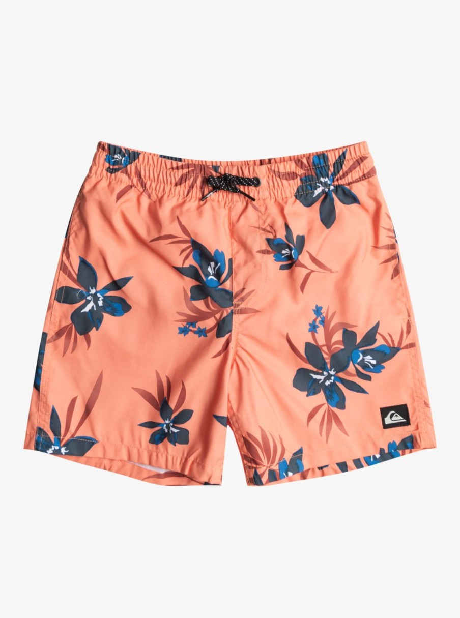 Garcon Quiksilver Boardshorts | Everyday Mix 14″ – Short De Bain Pour Garcon 8-16 Ans Fresh Salmon